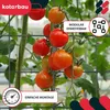 KOTARBAU® Modulare Rankhilfe 60x120cm 2 Rankgitter je Produktbild-Vorschau 2