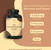 Flohsamenschalen Kapseln - 360 Kapseln (je 750mg) - 4500mg Produktbild-Vorschau 2