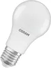A white LED light bulb with a silver screw base, angled against a white background. Voir les images du produit
