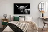 MuchoWow® Poster Schottischer Highlander - Kuh - Schwarz - Produktbild-Vorschau 4
