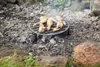 Rundes Feuerrost Ø34 aus Gusseisen Produktbild-Vorschau 3