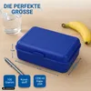 Lunchbox "School-Box" - Lunchbox voor kinderen en Productafbeelding-voorbeeld 7
