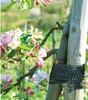 A close-up of an apple tree branch with pink blossoms and buds, tied to a wooden stake with a black mesh band. Voir les images du produit