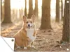MuchoWow® Produktbild-Vorschau 1