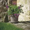 euro3plast 147-7G9 Untersetzer für 24cm, taupe (1 Stück) Produktbild-Vorschau 4