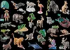 PLAYMOBIL Wiltopia 71006, Pudełko, Wolnostojący, Podgląd zdjęcia produktu 7