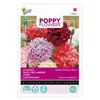 Buzzy Poppy Flowers Pavot Paeoniflorum Mélangé. Graines - Voir les images du produit 1