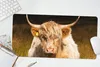 MuchoWow® Mauspad Mousepad Schottische Highlander - Licht - Produktbild-Vorschau 5