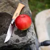 OPINEL Nože Tradizione, 001083 Náhľad obrázku produktu 18