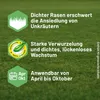 Substral Rasensamen Sport und Spiel, strapazierfähige Produktbild-Vorschau 9