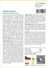 SAFLAX - Pobřežní Sequoia - Sequoia sempervirens - 50 Náhled obrázku produktu 3