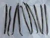 Several vanilla beans are laid out on a white surface. Náhľad obrázku produktu