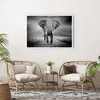 Poster - Poster ohne Rahmen - Elefant Wildnis Natur - Produktbild-Vorschau 5