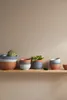 THOMAS Suppenteller 'Clay' Produktbild-Vorschau 11