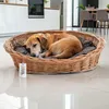 Cesto di vimini per cani, gatti e altri animali, morbido, Anteprima dell’immagine prodotto 17