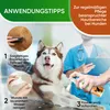 BAVIETTE 100ml Wundpflege & Wundreiniger für Hunde – Produktbild-Vorschau 4