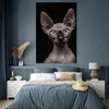 MuchoWow® Poster Katze - Sphynx - Schwarz 120x180 cm - Produktbild-Vorschau 4