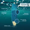 WattSUP MARLIN 12.5 SUP prkno Stand Up Paddle Surf-Board Náhled obrázku produktu 3