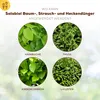 Gehölzdünger Solabiol Baum-,Strauch & Heckendünger Granulat Produktbild-Vorschau 10