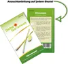 Zitronengras  Samen - Cymbopogon citratus - Produktbild-Vorschau 3