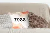 MuchoWow® Zierkissen Sofakissen Wohnzimmer Dekokissen 40x40 Produktbild-Vorschau 4