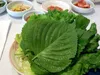 Koreanische Perilla (Perilla frutescens)  - 50 Samen Produktbild-Vorschau 3
