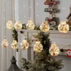 Weihnachtskugeln LED – 10 Stück Transparent, Befüllbar, Produktbild-Vorschau 3