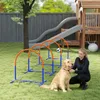 PawHut agility-trainingsapparatuur voor honden, honden Productafbeelding-voorbeeld 2