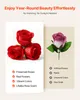 SucceBuy 100 pcs. Roses éternelles en forme de cœur boîte, Voir les images du produit 4