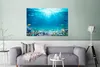 MuchoWow® Poster Unterwasserwelt - Meerestiere - Wasser - Produktbild-Vorschau 5