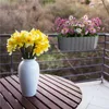 Prosperplast 4.9l Boardee Collection 38.3x21.2x13 Cm Produktbild-Vorschau 20