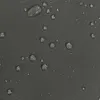 UISEBRT 160x300cm Anthrazit Ausziehbar Seitenmarkise Produktbild-Vorschau 9