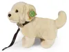 Peluche Golden Retriever Con Guinzaglio 25 Cm Eco-f. Anteprima dell’immagine prodotto 7