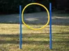 Hundetrainingsset, Slalom-Stangen, Hürde und Ring, Agility Produktbild-Vorschau 2