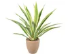 Kunstpflanze Agave Höhe: 85 cm grün Produktbild-Vorschau 1