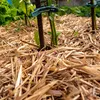 Ściółka ze słomy jęczmiennej – naturalna ściółka ogrodowa Podgląd zdjęcia produktu 6