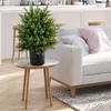 Künstliche Pflanze Zypresse 2 STK., Künstliche Zeder 54cm, Produktbild-Vorschau 8
