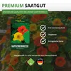 Kapuzinerkresse Rankende Mischung Samen - Tropaeolum majus Produktbild-Vorschau 8