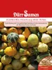 Dürr-Samen - Zierkürbis Mischung aller Arten - Saatgut - Produktbild-Vorschau 2