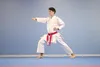 Kata dres PUNOK WKF [3,5] 175 cm Náhled obrázku produktu 6