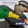 Close-up of two painted duck decoys, one with a green head and yellow beak, the other with a brown head. A paintbrush is shown touching the beak of the green-headed duck, and text indicates they are hand-painted. Produktbild-Vorschau