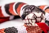 A close-up of a stuffed snake toy. Produktbild-Vorschau