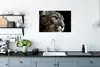 MuchoWow® Poster Puma - Wilde Tiere - Porträt 60x40 cm - Produktbild-Vorschau 3