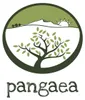 Pangaea Olive Oil Agoureleo o silnym profilu smakowym Podgląd zdjęcia produktu 2