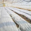 Weißes Gartenflies 150g/m2 mit UV 5m x 1.6m Produktbild-Vorschau 6