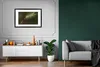 MuchoWow® MuchoWow® Gerahmtes Poster Chamäleon fängt Produktbild-Vorschau 8