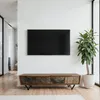 Lowboard FineBuy Sheesham Massivholz 160 cm TV Board Stein Produktbild-Vorschau 2