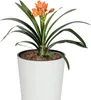Prosperplast Blumentopf TUBUS SLIM Weiß 25 cm Produktbild-Vorschau 7