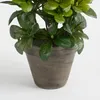 Mica Decorations Azalee Kunstpflanze im Blumentopf Stan - Produktbild-Vorschau 3