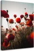 Leinwandbild mohnblumen in der sonne 70x100 cm Feeby rot Produktbild-Vorschau 1